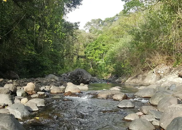 سيغارا أوريب Negara (Bali)