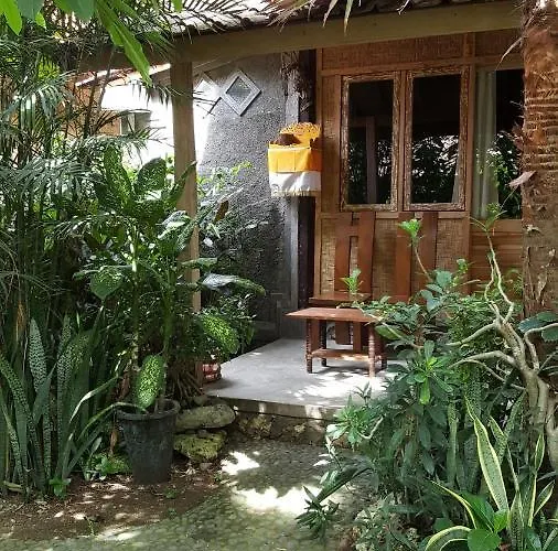 سيغارا أوريب Negara (Bali)