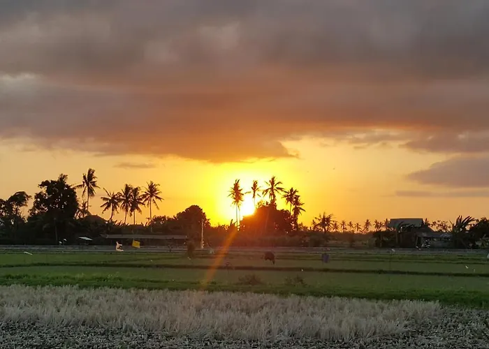 Segara Urip * Negara (Bali)