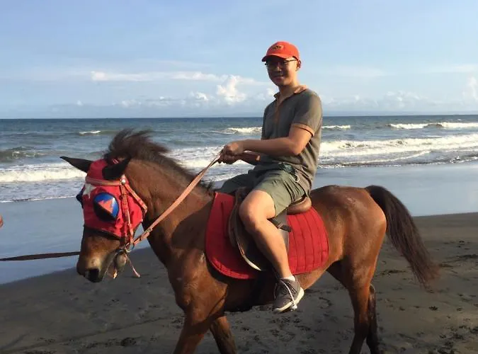 Segara Urip Negara (Bali)