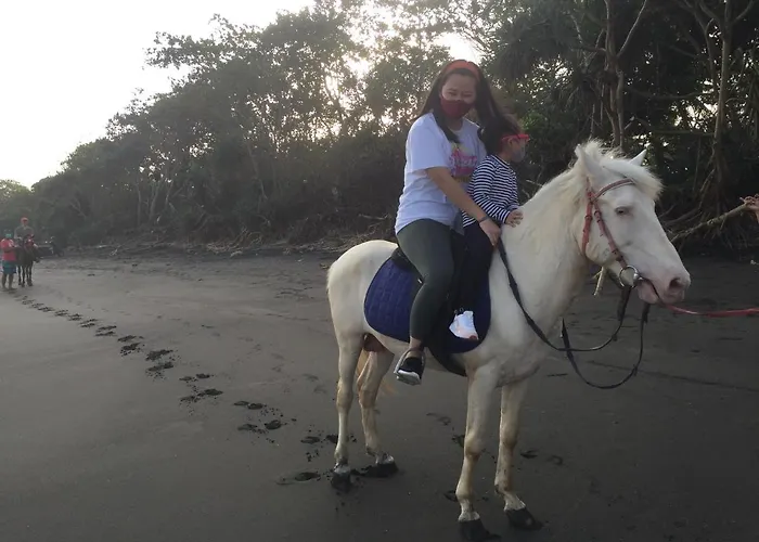 Segara Urip Séjour chez l'habitant Negara (Bali)